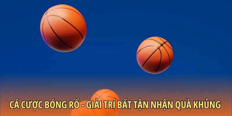 Cá cược bóng rổ