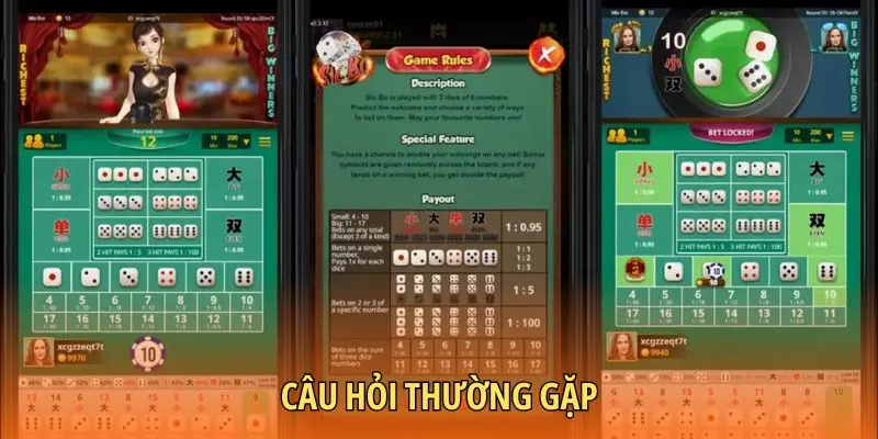 Câu hỏi thường gặp
