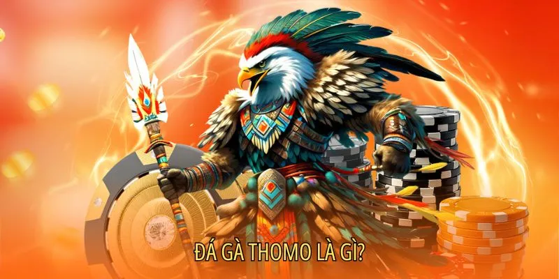 Đá gà Thomo là gì và đến từ đâu?