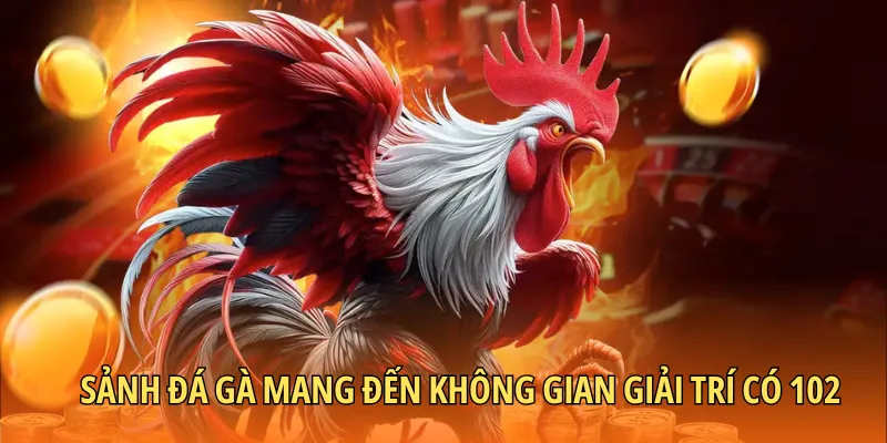 Sảnh đá gà mang đến không gian giải trí có 102