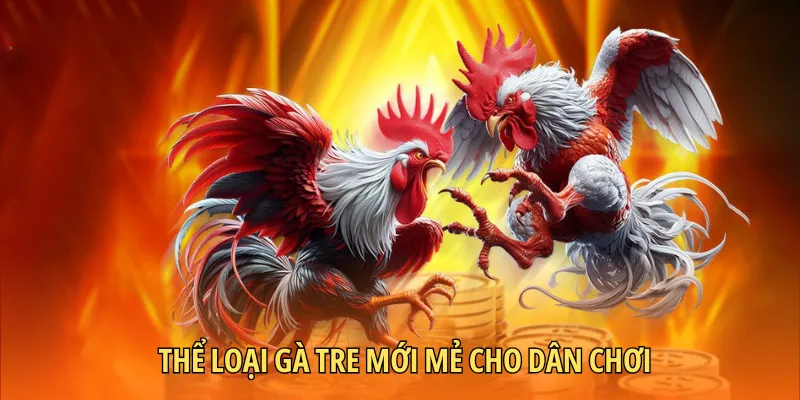 Thể loại gà tre mới mẻ cho dân chơi