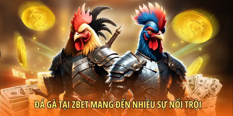 Đá gà tại Zbet mang đến nhiều sự nổi trội
