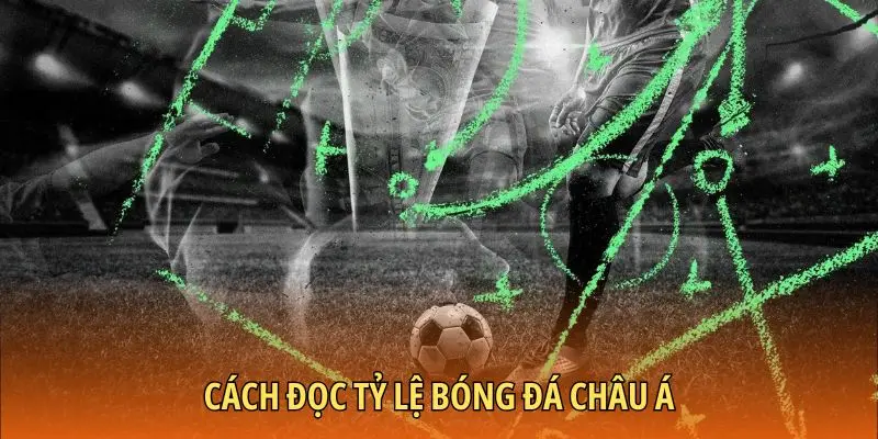 Cách đọc tỷ lệ bóng đá Châu Á