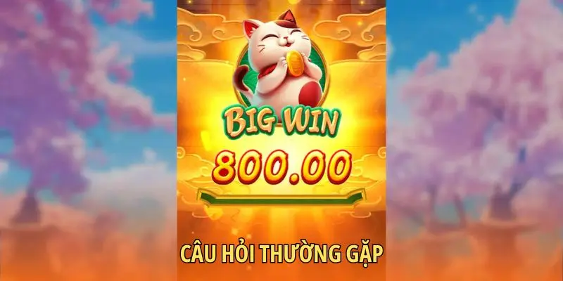 Câu hỏi thường gặp