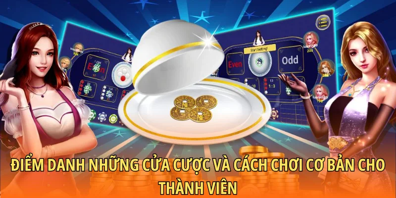 Điểm danh những cửa cược và cách chơi cơ bản cho thành viên