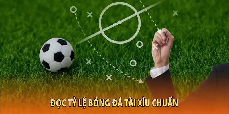 Đọc tỷ lệ bóng đá Tài xỉu chuẩn