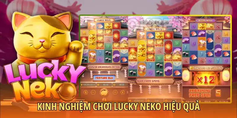 Kinh nghiệm chơi Lucky Neko hiệu quả