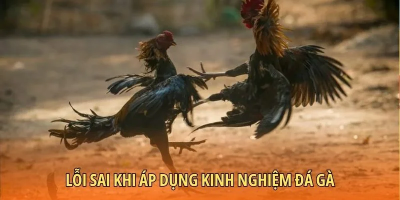 Lỗi sai không nên mắc phải khi xuống tiền