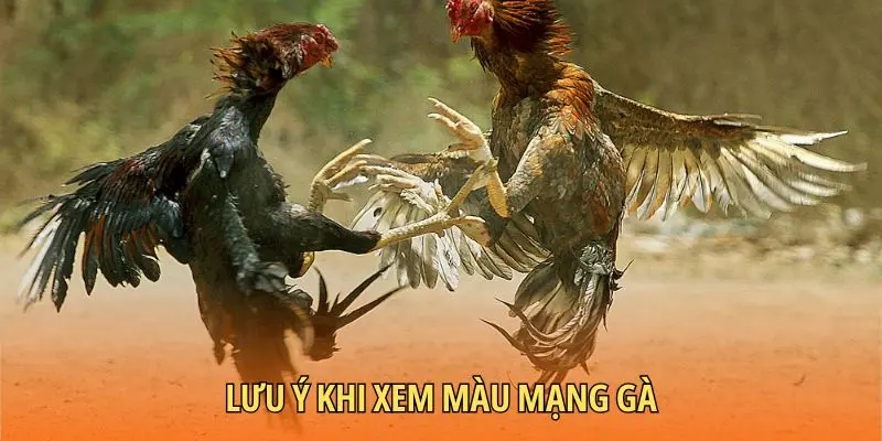 Lưu ý khi xem màu mạng gà