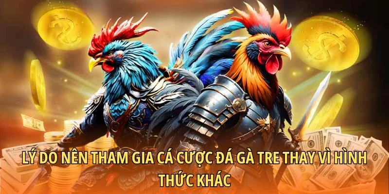 Lý do nên tham gia cá cược đá gà tre thay vì hình thức khác