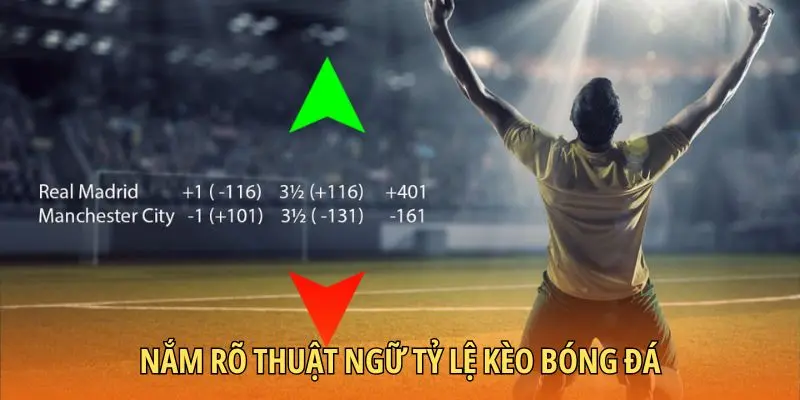 Nắm rõ thuật ngữ tỷ lệ kèo bóng đá