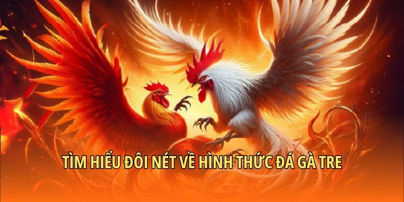 Tìm hiểu đôi nét về hình thức đá gà tre